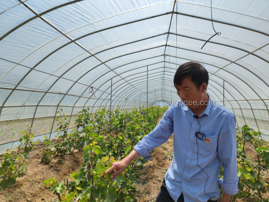 《反方向の扶贫》：逆向思维助力乡村发展与自我提升指南